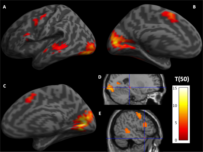 A Leitura Profunda: Um Elixir para o Cérebro
